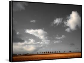 Clouds Lover-Philippe Sainte-Laudy-Framed Stretched Canvas