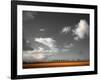 Clouds Lover-Philippe Sainte-Laudy-Framed Photographic Print