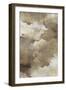 Clouds of Gold II-PI Studio-Framed Art Print