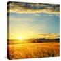 Clouds on Sunset over Field with Barley-mycola-Stretched Canvas