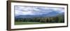 Clouds over a Grassland, Mt Mansfield, Vermont, USA-null-Framed Photographic Print