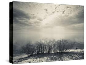 Clouds Over a Lake, Lake Peipsi, Kauksi, Ida-Viru County, Estonia-null-Stretched Canvas