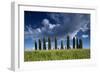 Clouds over Cypress Hill-Michael Blanchette-Framed Photographic Print
