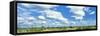 Clouds over landscape, Kruger National Park, South Africa-Panoramic Images-Framed Stretched Canvas