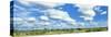 Clouds over landscape, Kruger National Park, South Africa-Panoramic Images-Stretched Canvas