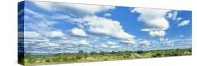 Clouds over landscape, Kruger National Park, South Africa-Panoramic Images-Stretched Canvas