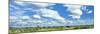 Clouds over landscape, Kruger National Park, South Africa-Panoramic Images-Mounted Photographic Print