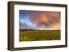 Clouds over Mid-Growth Wheat Field, Tobacco Root Mountains, Ennis, Montana, USA-Chuck Haney-Framed Photographic Print