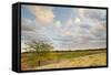 Clouds over the Prairie at Sunset, Texas, USA-Larry Ditto-Framed Stretched Canvas