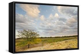 Clouds over the Prairie at Sunset, Texas, USA-Larry Ditto-Framed Stretched Canvas