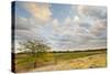 Clouds over the Prairie at Sunset, Texas, USA-Larry Ditto-Stretched Canvas
