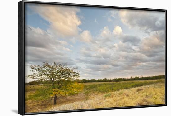 Clouds over the Prairie at Sunset, Texas, USA-Larry Ditto-Framed Photographic Print