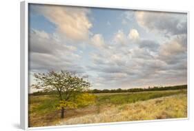 Clouds over the Prairie at Sunset, Texas, USA-Larry Ditto-Framed Photographic Print