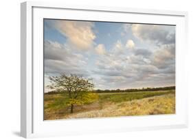 Clouds over the Prairie at Sunset, Texas, USA-Larry Ditto-Framed Photographic Print