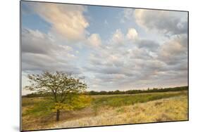 Clouds over the Prairie at Sunset, Texas, USA-Larry Ditto-Mounted Photographic Print