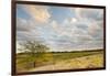 Clouds over the Prairie at Sunset, Texas, USA-Larry Ditto-Framed Photographic Print