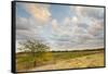 Clouds over the Prairie at Sunset, Texas, USA-Larry Ditto-Framed Stretched Canvas