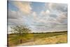 Clouds over the Prairie at Sunset, Texas, USA-Larry Ditto-Stretched Canvas