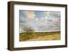 Clouds over the Prairie at Sunset, Texas, USA-Larry Ditto-Framed Photographic Print