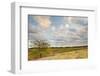 Clouds over the Prairie at Sunset, Texas, USA-Larry Ditto-Framed Photographic Print