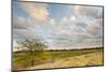 Clouds over the Prairie at Sunset, Texas, USA-Larry Ditto-Mounted Photographic Print