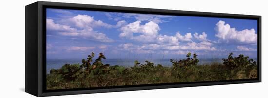 Clouds over the Sea, Tampa Bay, Gulf of Mexico, Anna Maria Island, Manatee County, Florida, USA-null-Framed Stretched Canvas