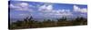 Clouds over the Sea, Tampa Bay, Gulf of Mexico, Anna Maria Island, Manatee County, Florida, USA-null-Stretched Canvas