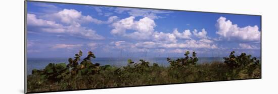 Clouds over the Sea, Tampa Bay, Gulf of Mexico, Anna Maria Island, Manatee County, Florida, USA-null-Mounted Photographic Print