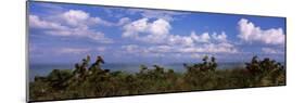 Clouds over the Sea, Tampa Bay, Gulf of Mexico, Anna Maria Island, Manatee County, Florida, USA-null-Mounted Photographic Print