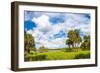 Clouds over Trees in a Forest, Myakka River State Park, Sarasota, Sarasota County, Florida, USA-null-Framed Photographic Print