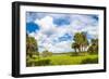 Clouds over Trees in a Forest, Myakka River State Park, Sarasota, Sarasota County, Florida, USA-null-Framed Photographic Print