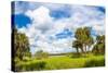 Clouds over Trees in a Forest, Myakka River State Park, Sarasota, Sarasota County, Florida, USA-null-Stretched Canvas