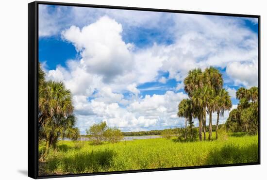 Clouds over Trees in a Forest, Myakka River State Park, Sarasota, Sarasota County, Florida, USA-null-Framed Stretched Canvas