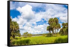 Clouds over Trees in a Forest, Myakka River State Park, Sarasota, Sarasota County, Florida, USA-null-Framed Stretched Canvas