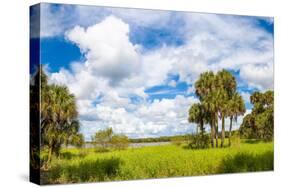 Clouds over Trees in a Forest, Myakka River State Park, Sarasota, Sarasota County, Florida, USA-null-Stretched Canvas