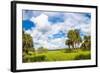 Clouds over Trees in a Forest, Myakka River State Park, Sarasota, Sarasota County, Florida, USA-null-Framed Photographic Print