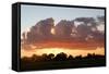 Clouds over wetland habitat at sunset, Okavango Delta, Botswana-Jean Hosking-Framed Stretched Canvas