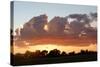 Clouds over wetland habitat at sunset, Okavango Delta, Botswana-Jean Hosking-Stretched Canvas