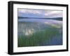 Clouds Reflect in Deadman Lake, Tetlin National Wildlife Refuge, Alaska, USA-Jerry & Marcy Monkman-Framed Premium Photographic Print