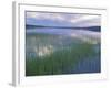 Clouds Reflect in Deadman Lake, Tetlin National Wildlife Refuge, Alaska, USA-Jerry & Marcy Monkman-Framed Photographic Print