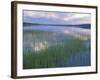 Clouds Reflect in Deadman Lake, Tetlin National Wildlife Refuge, Alaska, USA-Jerry & Marcy Monkman-Framed Photographic Print