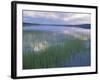 Clouds Reflect in Deadman Lake, Tetlin National Wildlife Refuge, Alaska, USA-Jerry & Marcy Monkman-Framed Photographic Print