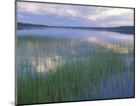 Clouds Reflect in Deadman Lake, Tetlin National Wildlife Refuge, Alaska, USA-Jerry & Marcy Monkman-Mounted Photographic Print