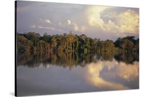 Clouds Reflected in the Sepik River, Papua New Guinea-Sybil Sassoon-Stretched Canvas