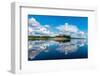 Clouds reflecting in the Rio Negro, southern Venezuela-Michael Runkel-Framed Photographic Print