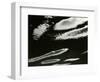 Clouds, Spain, 1960-Brett Weston-Framed Photographic Print