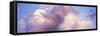 Clouds USA-Panoramic Images-Framed Stretched Canvas