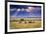 Clouds with sun rays streaming down on Masai Mara in Kenya, Africa. Wildebeest in foreground.-Larry Richardson-Framed Photographic Print