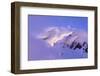 Clouds Wrapped Summit of Mount Rainier, Mt Rainier National Park, Washington, USA-Paul Souders-Framed Photographic Print