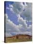 Clouds-Thomas Cooper Gotch-Stretched Canvas